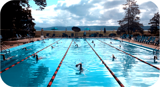 Performance swim clinic coaching